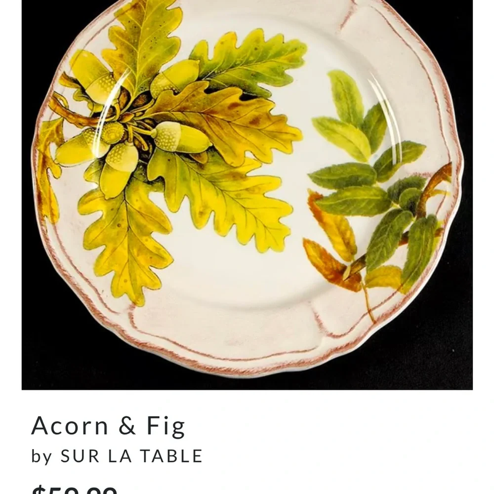 Sur La Table Acorn & Fig Dinner Plates